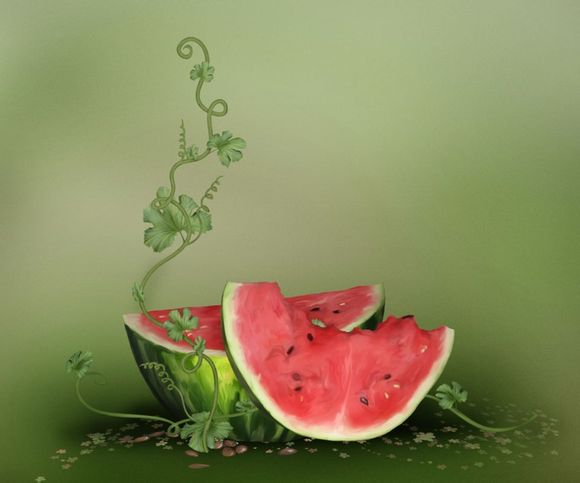 苹果电脑使用向日葵