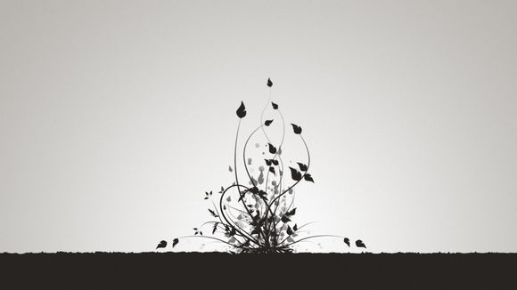 掌上英雄联盟好友怎么不见了