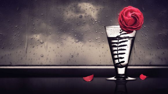 小豆苗怎么切换接种单位失败